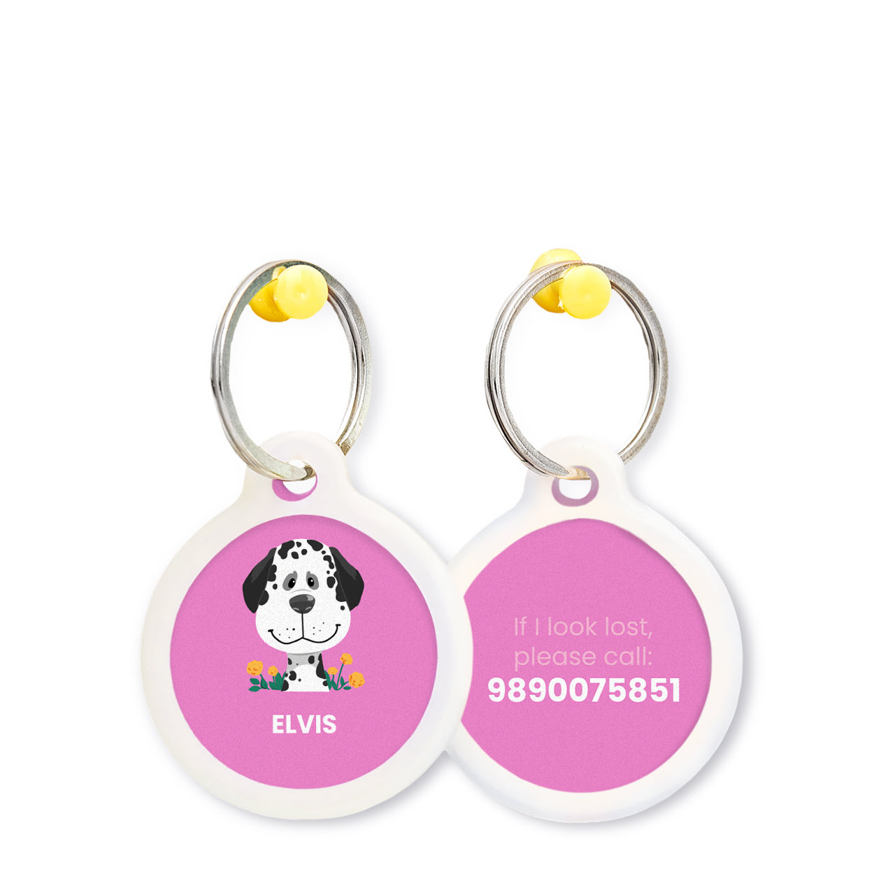 Dalmation - Pet Tags Dalmation - Pet Tags