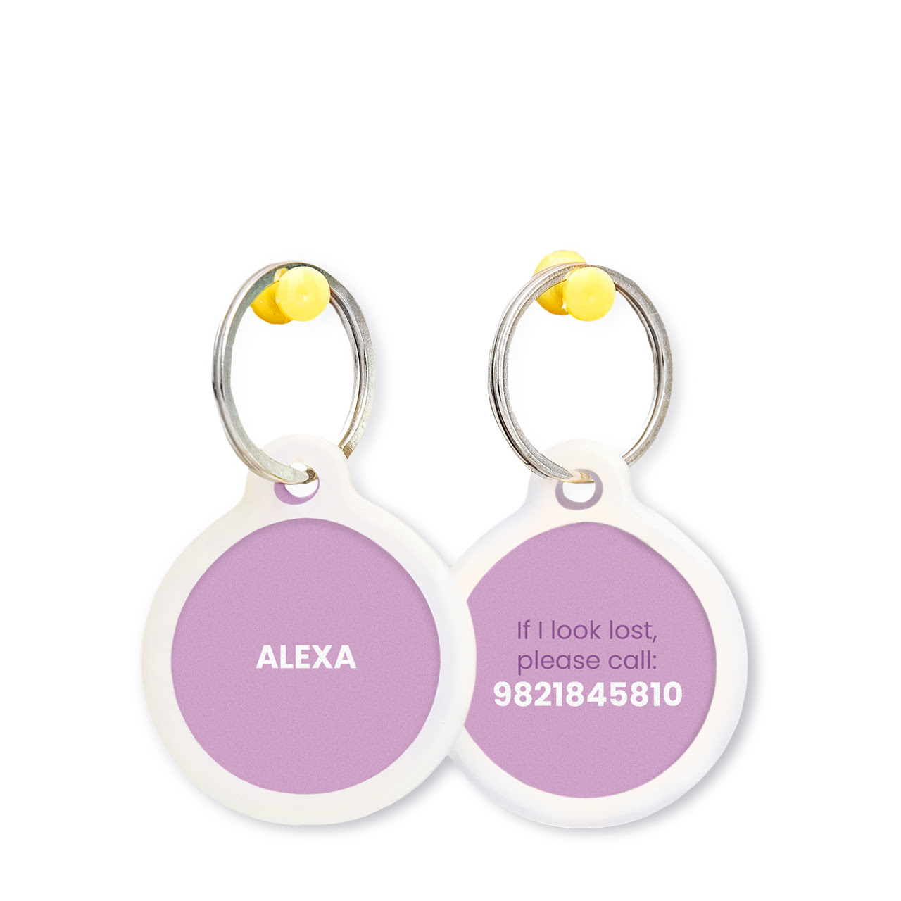 Lilac - Pet Tags Lilac - Pet Tags